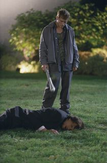 The Butterfly Effect still