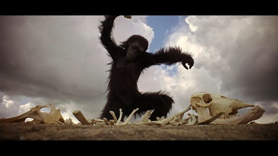 2001: A Space Odyssey still