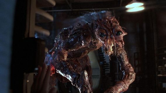 The Fly still