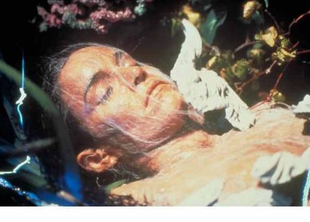 Invasion of the Body Snatchers still